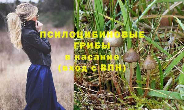 герыч Зеленодольск
