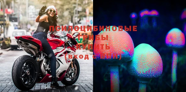 ECSTASY Зерноград