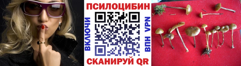 Купить где  Сосенский  Галлюциногенные грибы прущие грибы 