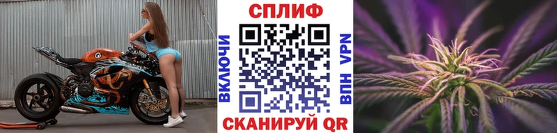 Купить где  Сосенский  Бошки марихуана White Widow 